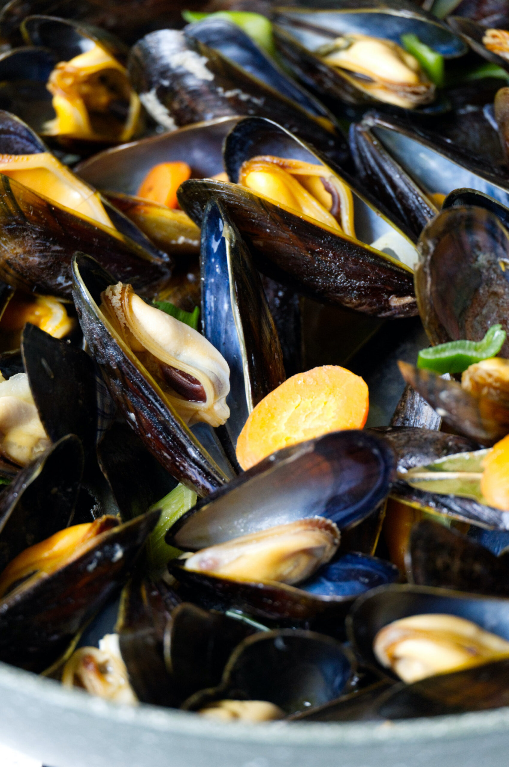dutch mussels recipe